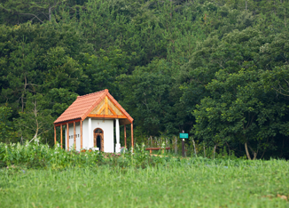 반월박지도 이미지 04